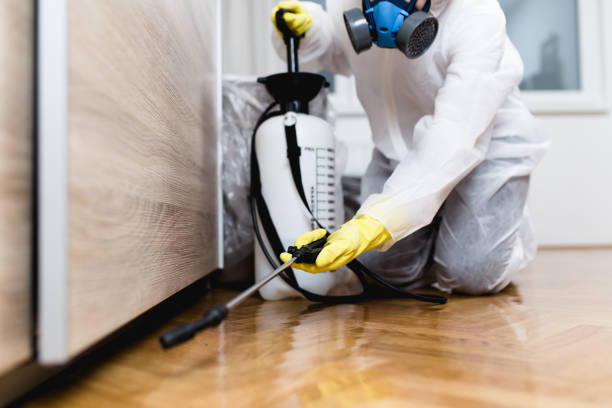 Best Cockroach Control Services  in Three Rivers, OR