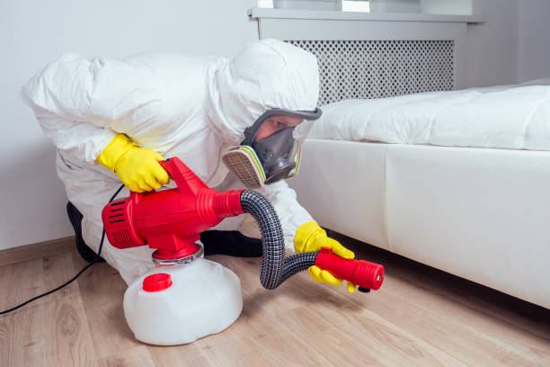 Pest Prevention Services in Three Rivers, OR