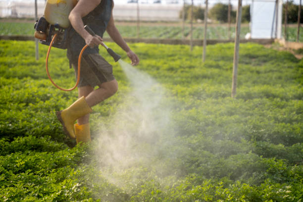 Best Affordable Pest Control Services  in Three Rivers, OR