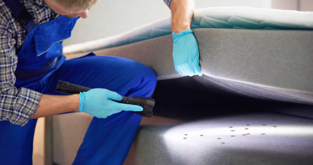 Best Pest Control Near Me  in Three Rivers, OR