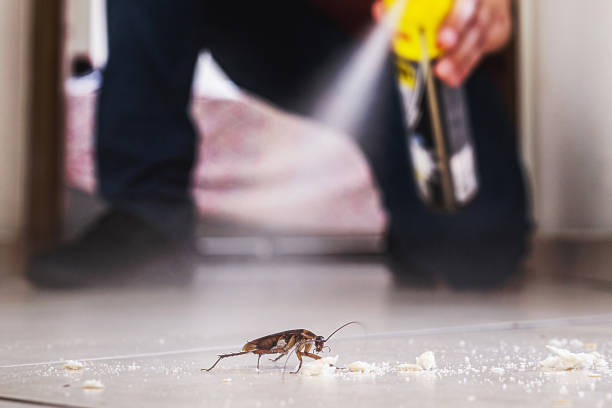 Best Commercial Pest Control Services  in Three Rivers, OR
