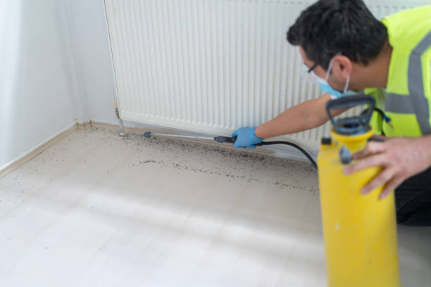 Best Flea Control Services  in Three Rivers, OR