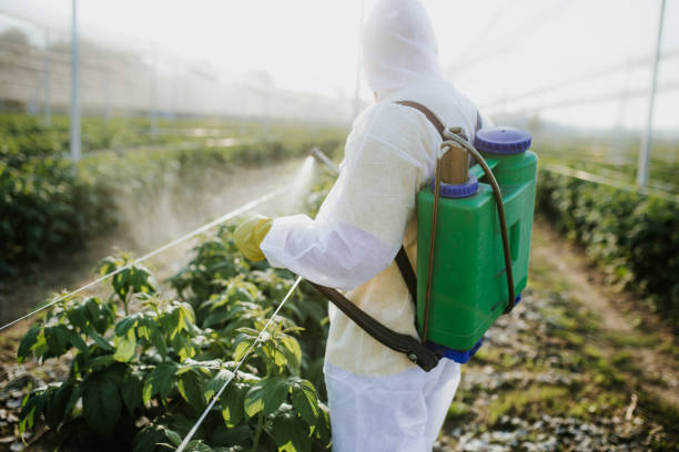 Best Best Pest Control Companies  in Three Rivers, OR